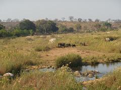 Suedafrika (230)